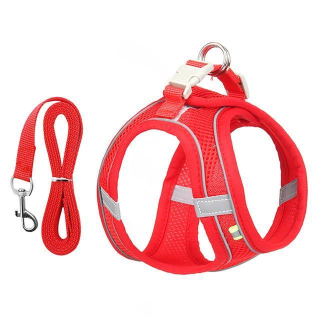 Adjustable Harness and Leash Set for Small Dogs and Cats - Orthorun
