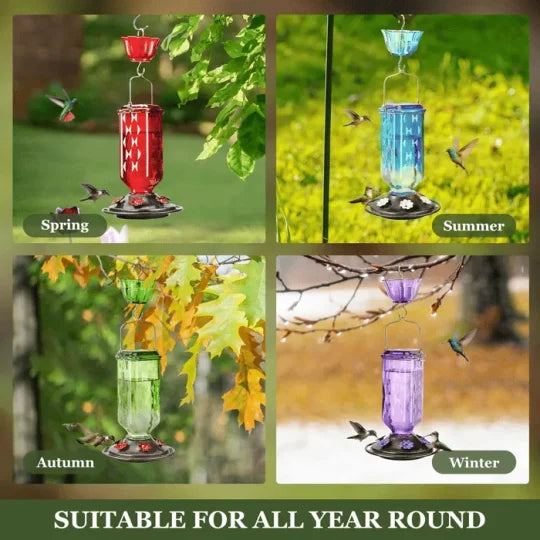 24oz Leak Proof Glass Hummingbird Feeder - Orthorun