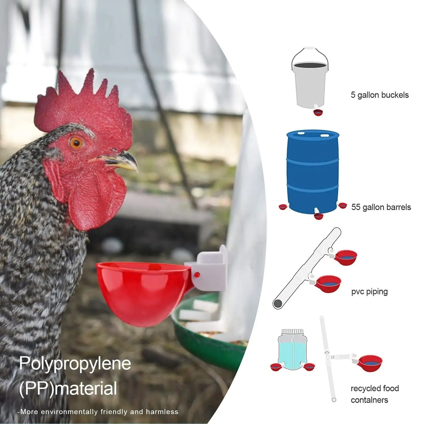 10 Pcs Chicken Waterer - Orthorun