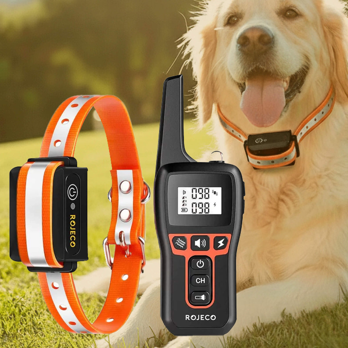 Orthorun | 1000m Waterproof Dog Training Collar – Rechargeable, Remote Control & Adjustable for Small, Medium, and Large Dogs