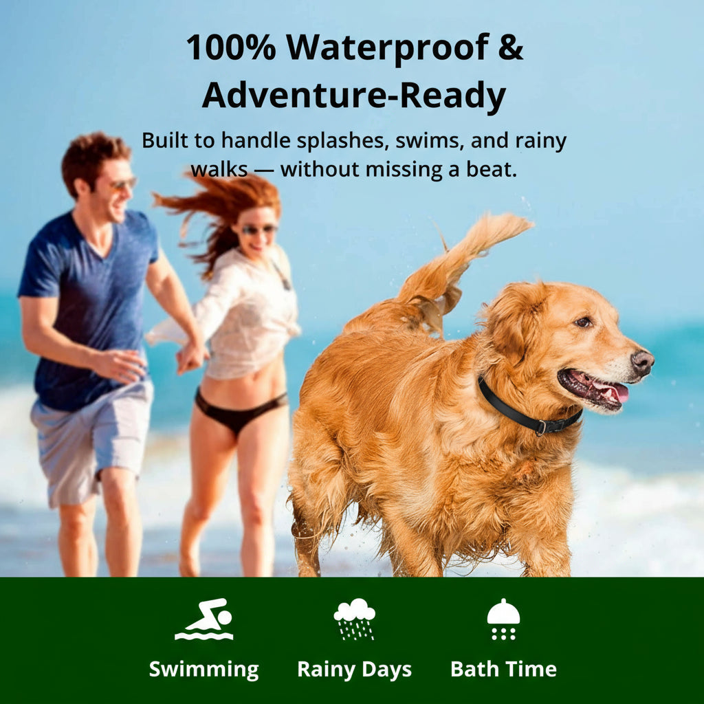 Orthorun | 1000m Waterproof Dog Training Collar – Rechargeable, Remote Control & Adjustable for Small, Medium, and Large Dogs
