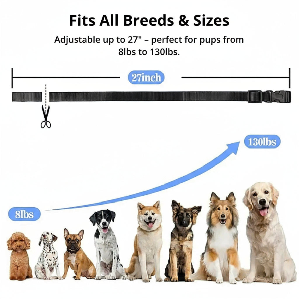 Orthorun | 1000m Waterproof Dog Training Collar – Rechargeable, Remote Control & Adjustable for Small, Medium, and Large Dogs