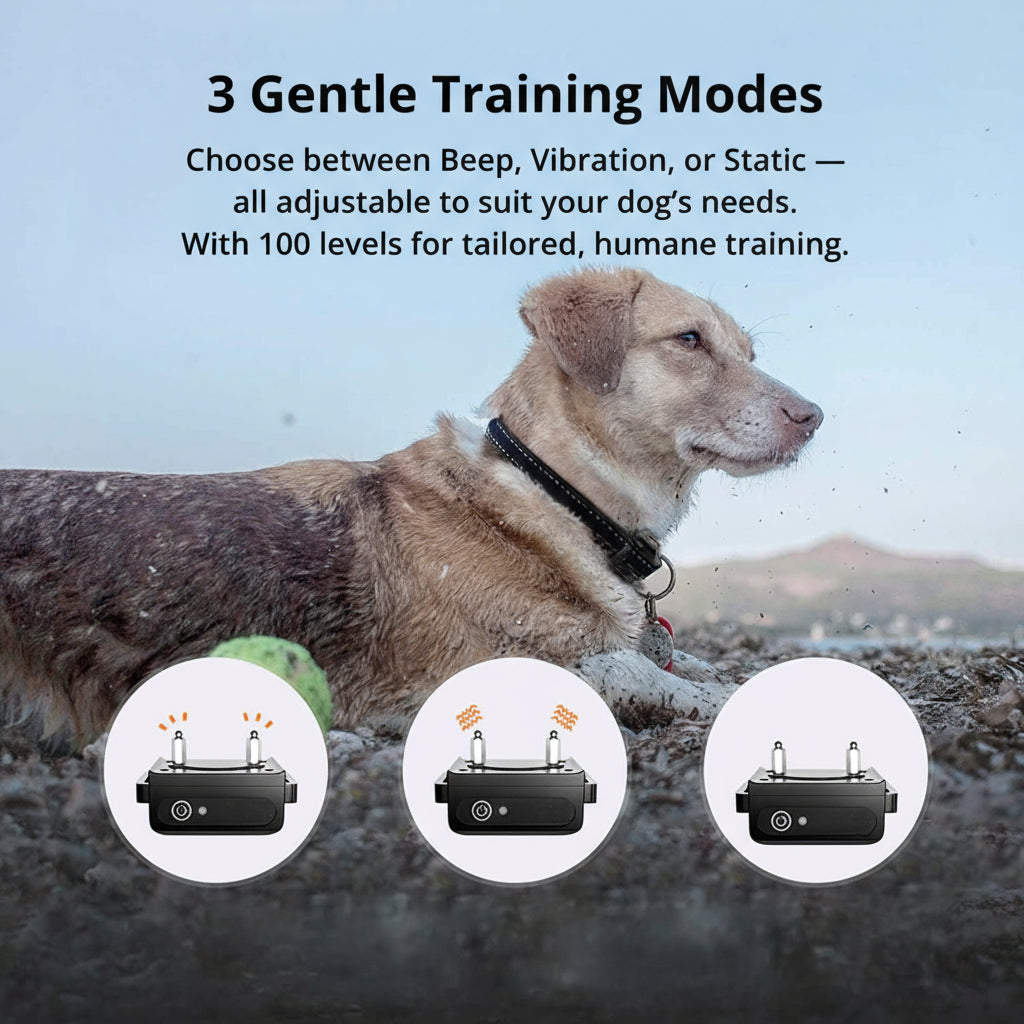 Orthorun | 1000m Waterproof Dog Training Collar – Rechargeable, Remote Control & Adjustable for Small, Medium, and Large Dogs