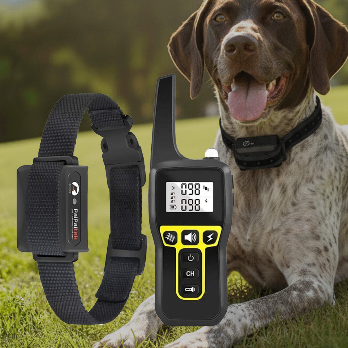 Orthorun | 1000m Waterproof Dog Training Collar – Rechargeable, Remote Control & Adjustable for Small, Medium, and Large Dogs