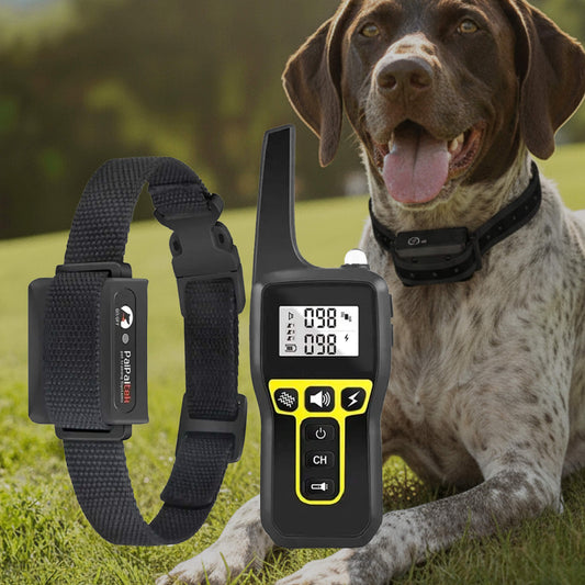 Orthorun | 1000m Waterproof Dog Training Collar – Rechargeable, Remote Control & Adjustable for Small, Medium, and Large Dogs
