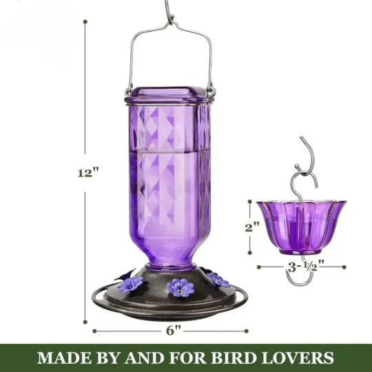 24oz Leak Proof Glass Hummingbird Feeder - Orthorun
