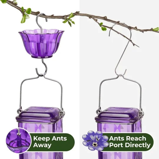 24oz Leak Proof Glass Hummingbird Feeder - Orthorun