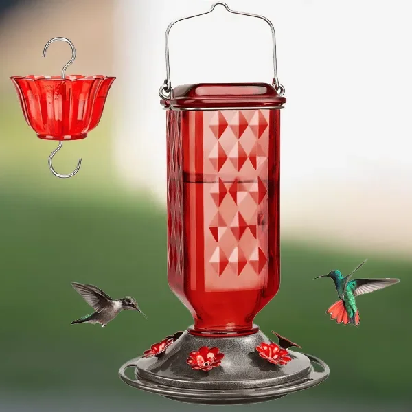 24oz Leak Proof Glass Hummingbird Feeder - Orthorun