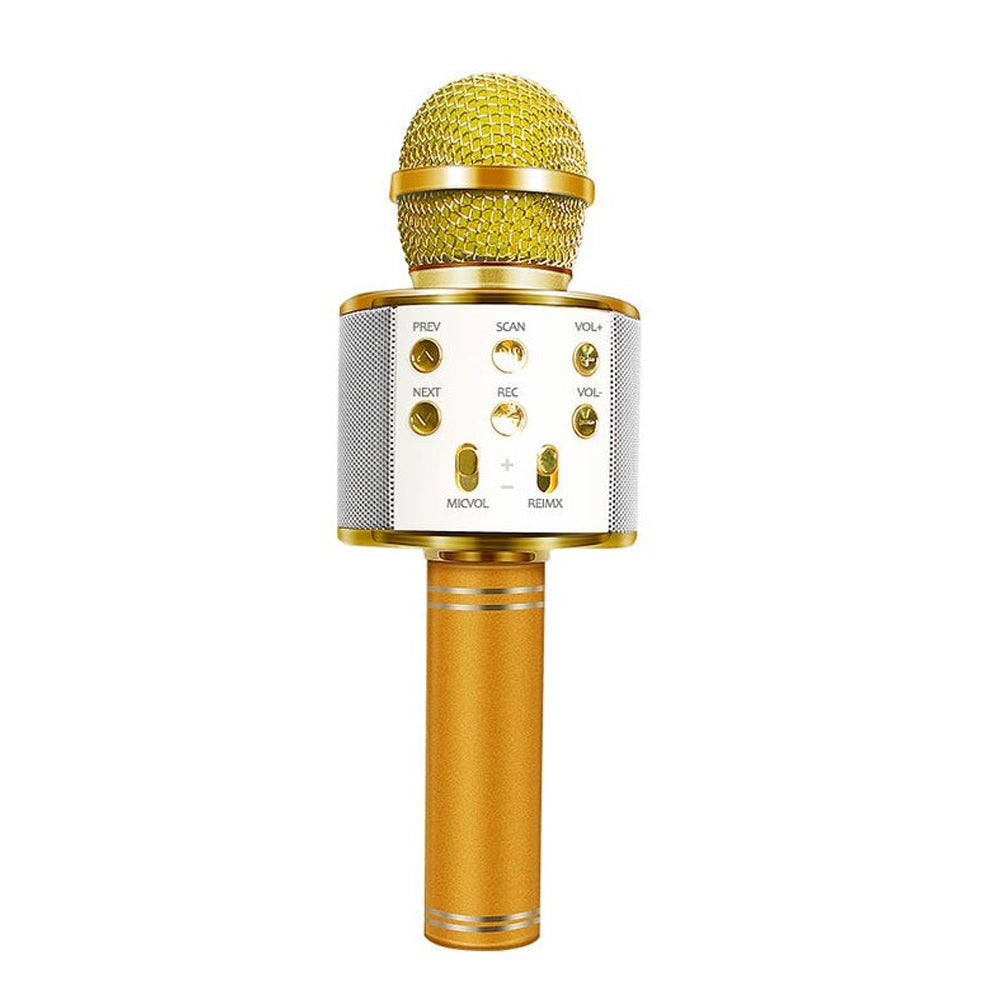 Orthorun | Rechargeable Wireless Bluetooth Karaoke Microphone