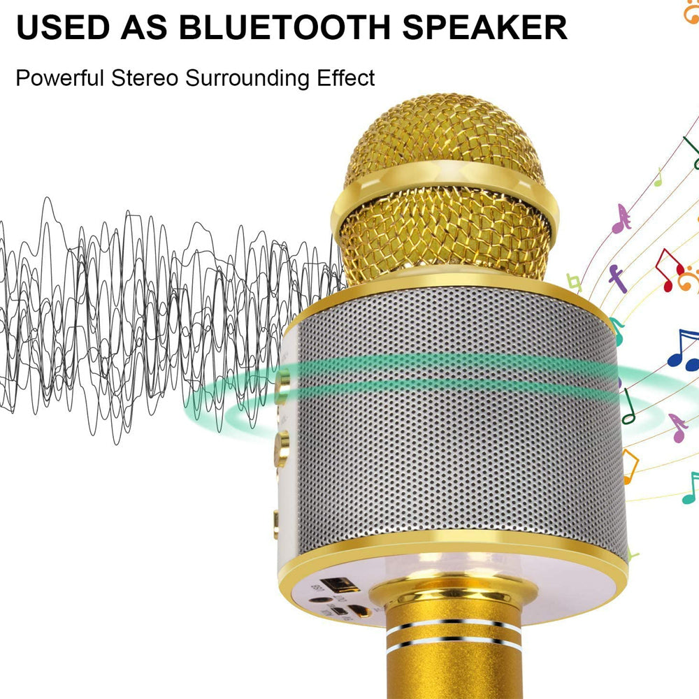 Orthorun | Rechargeable Wireless Bluetooth Karaoke Microphone