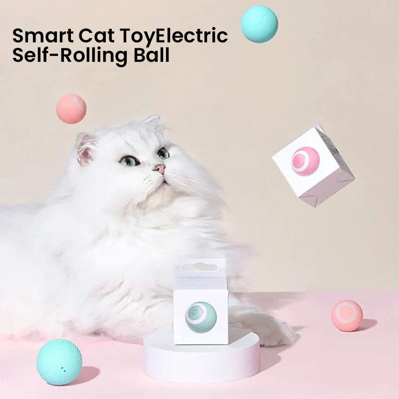 2 in 1 Simulated Interactive Hunting Cat Toy - Orthorun