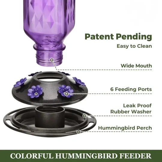 24oz Leak Proof Glass Hummingbird Feeder - Orthorun