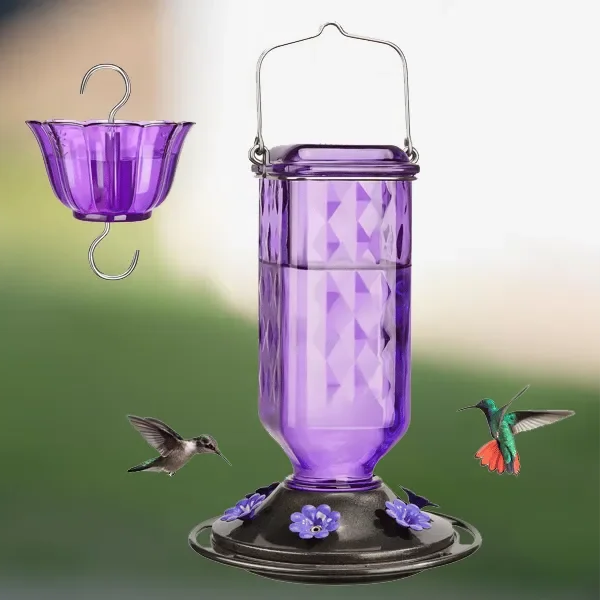 24oz Leak Proof Glass Hummingbird Feeder - Orthorun