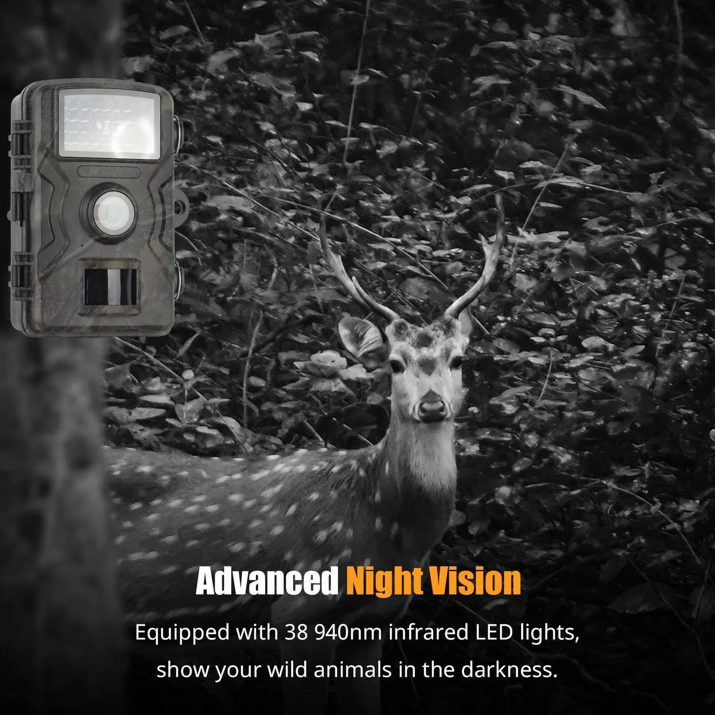 1080P Night Vision Trail Camera - Orthorun