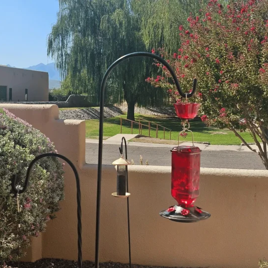 24oz Leak Proof Glass Hummingbird Feeder - Orthorun