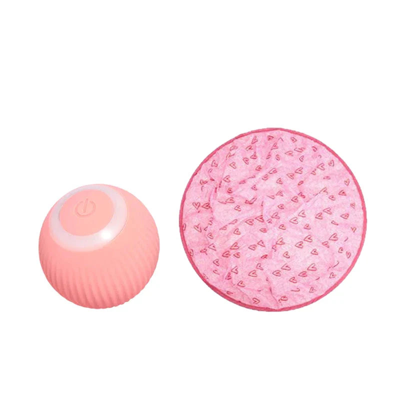 2 in 1 Simulated Interactive Hunting Cat Toy - Orthorun