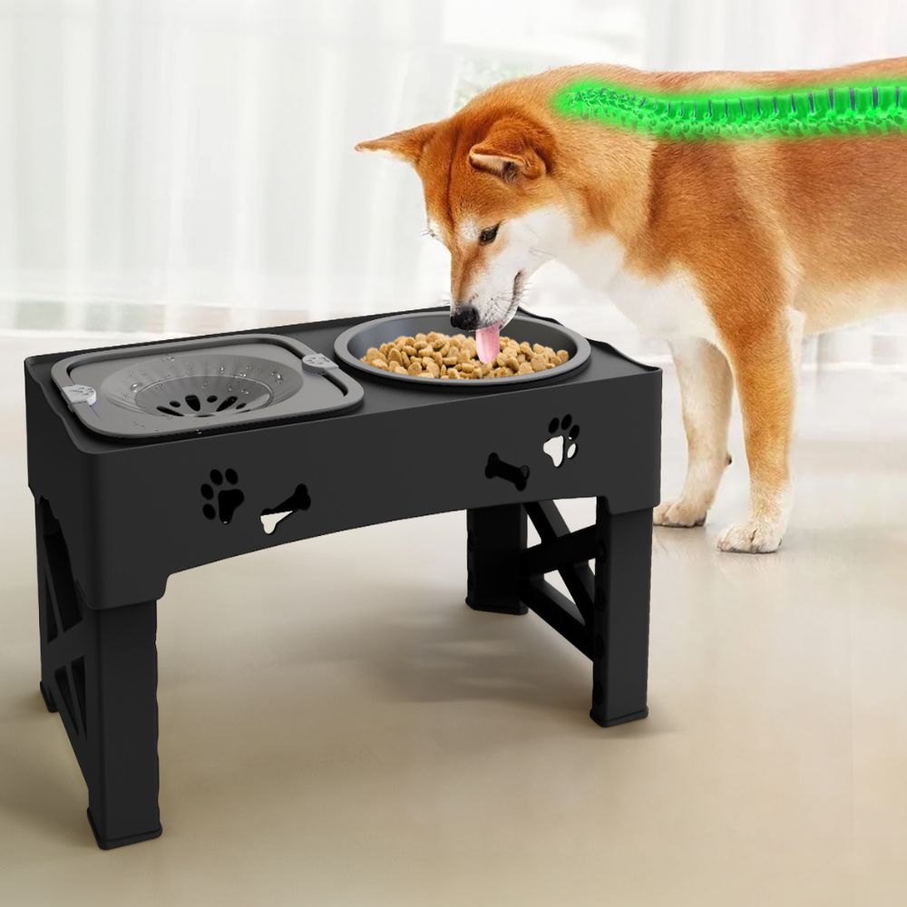 Adjustable Raised Pet Dog Slow Feeder - Orthorun