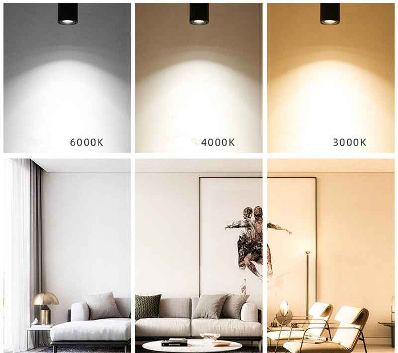 Orthorun | LED Ceiling Spotlight - 7W, 12W, 15W Options