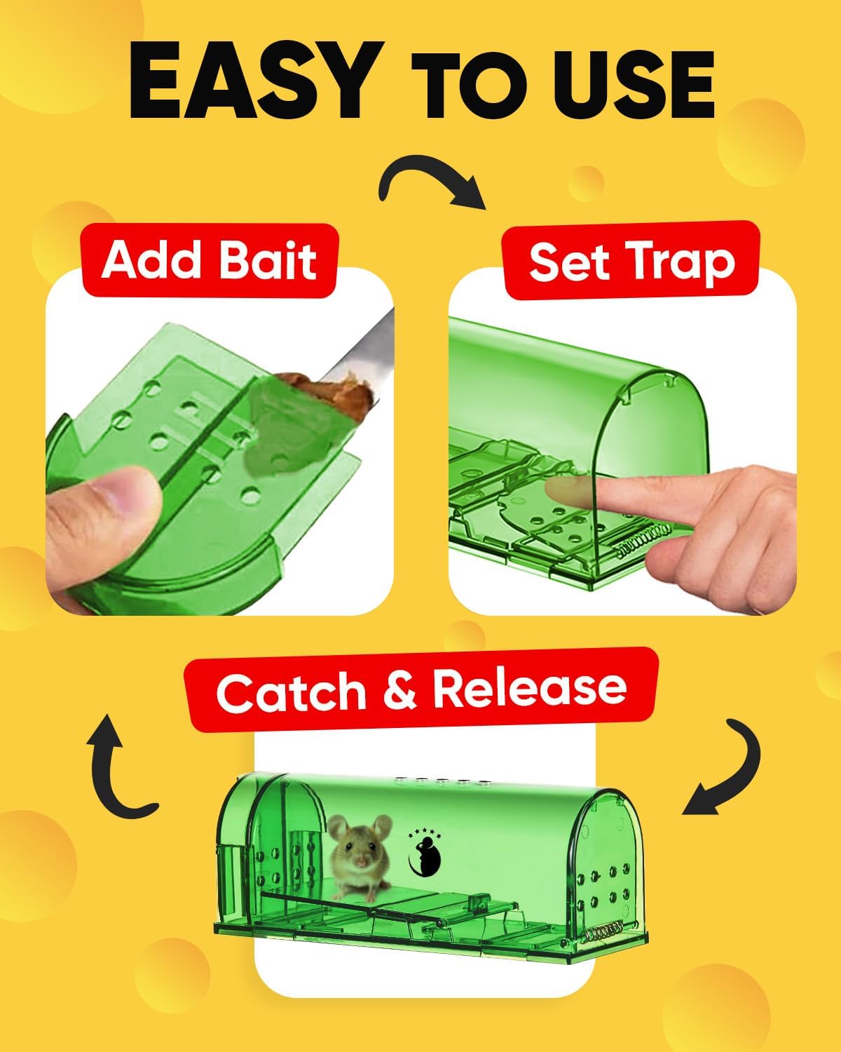 4-Pack Mouse Trap - Orthorun