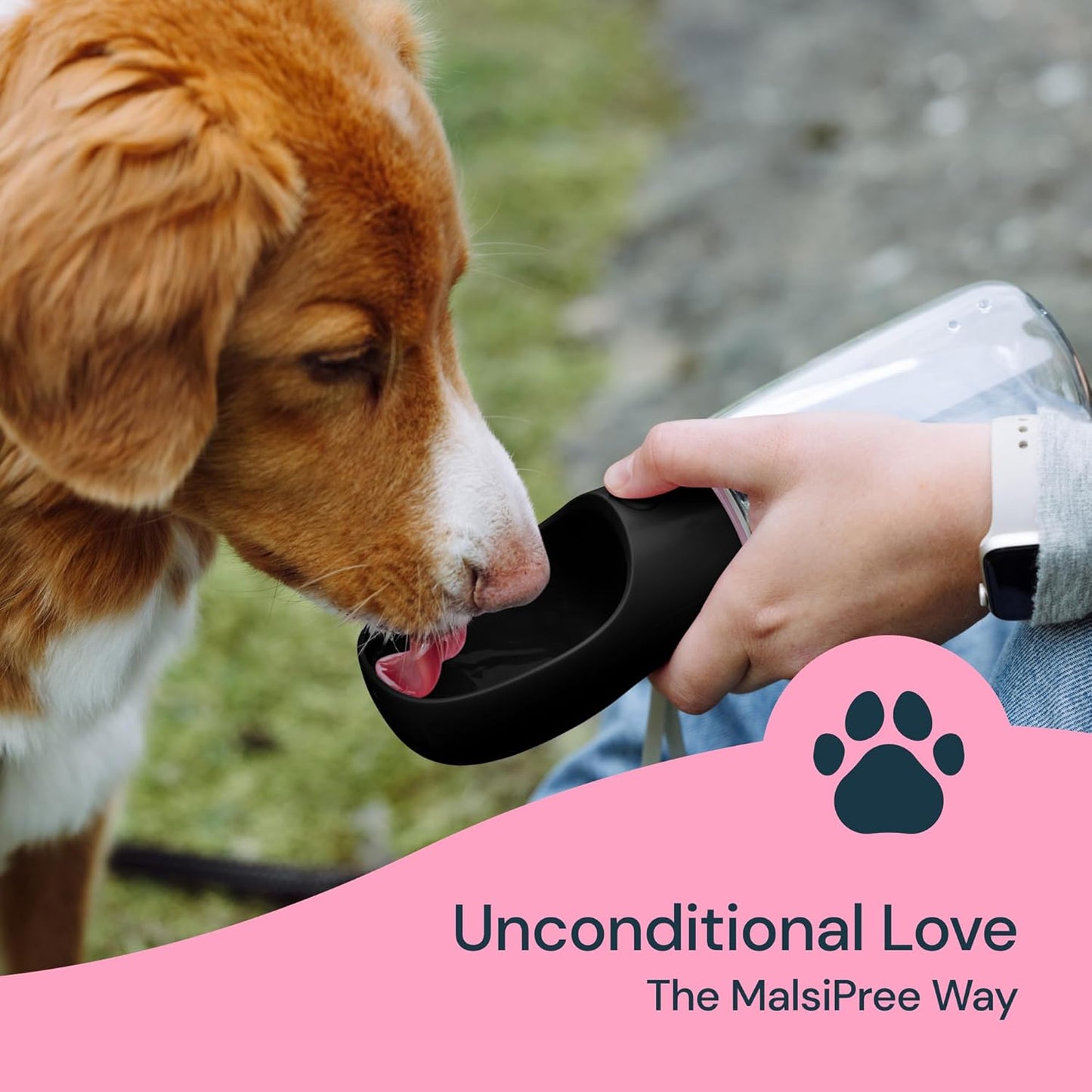 19 oz portable water bottle for dogs - Orthorun