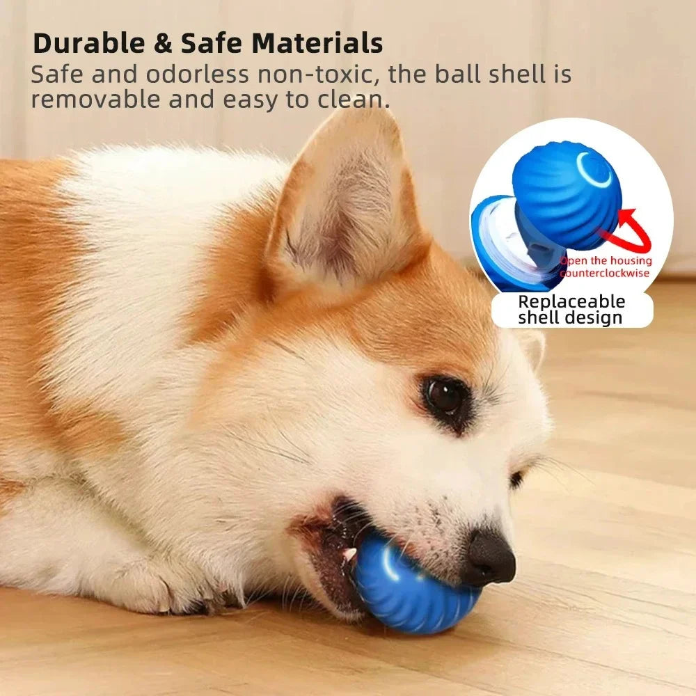 Active Rolling Ball Anti-Anxiety Automatic Moving Ball - Orthorun