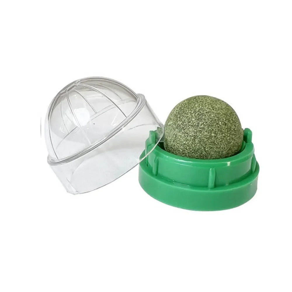 4 Pcs Premium Catnip Ball - Orthorun