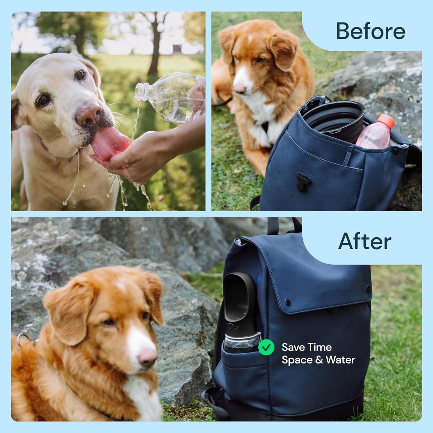 19 oz portable water bottle for dogs - Orthorun