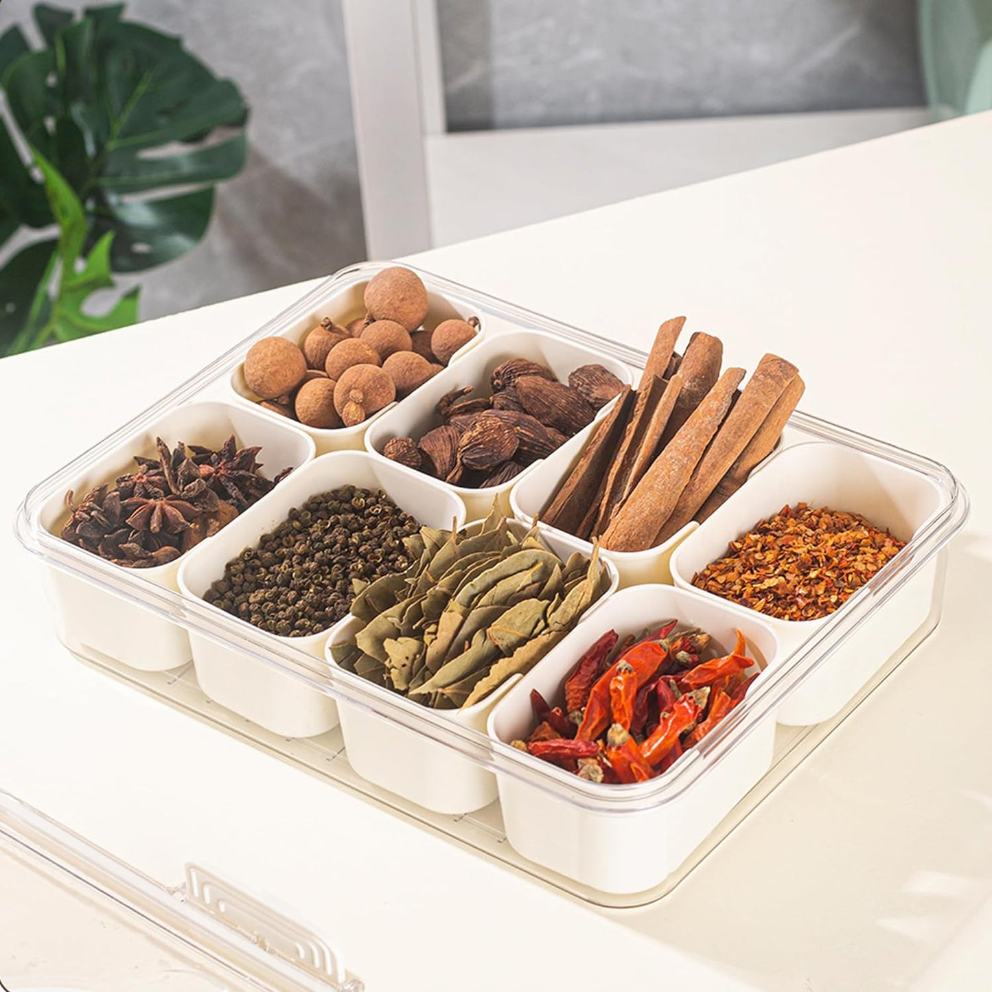 8 Compartments divided serving tray with Handle - Orthorun