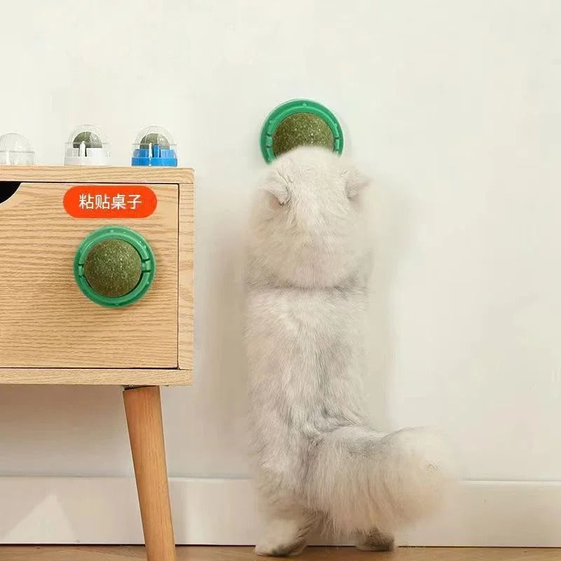 4 Pcs Premium Catnip Ball - Orthorun