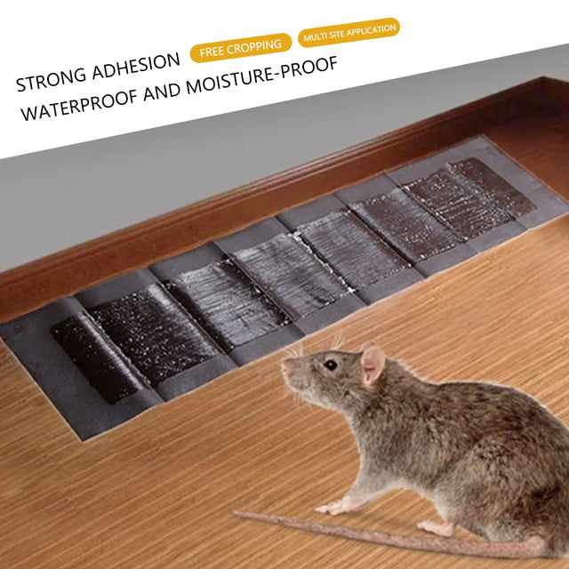 5 Extra-Large Glue Pads For Mice And Rats - Orthorun