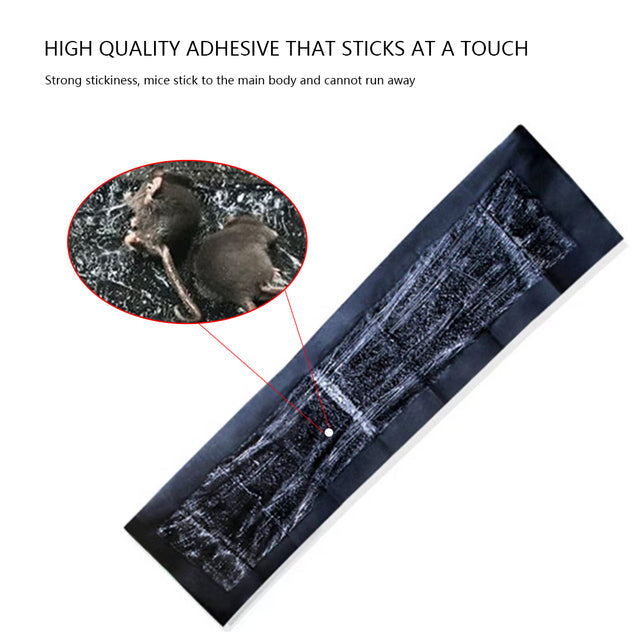 5 Extra-Large Glue Pads For Mice And Rats - Orthorun