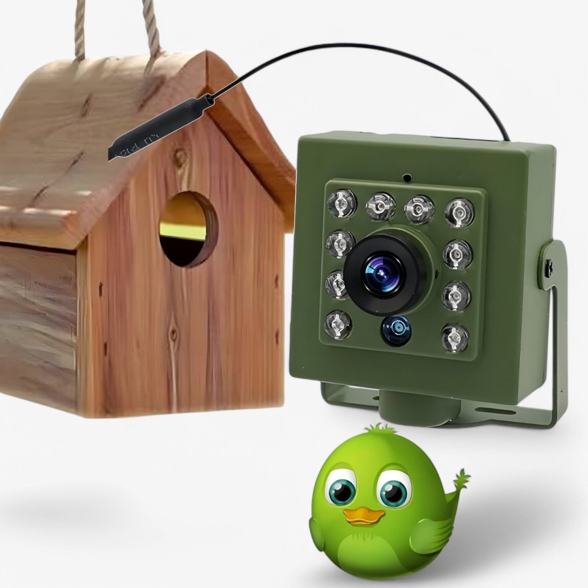 1080p HD weatherproof wildlife camera with night vision, motion detection, and remote access - Orthorun
