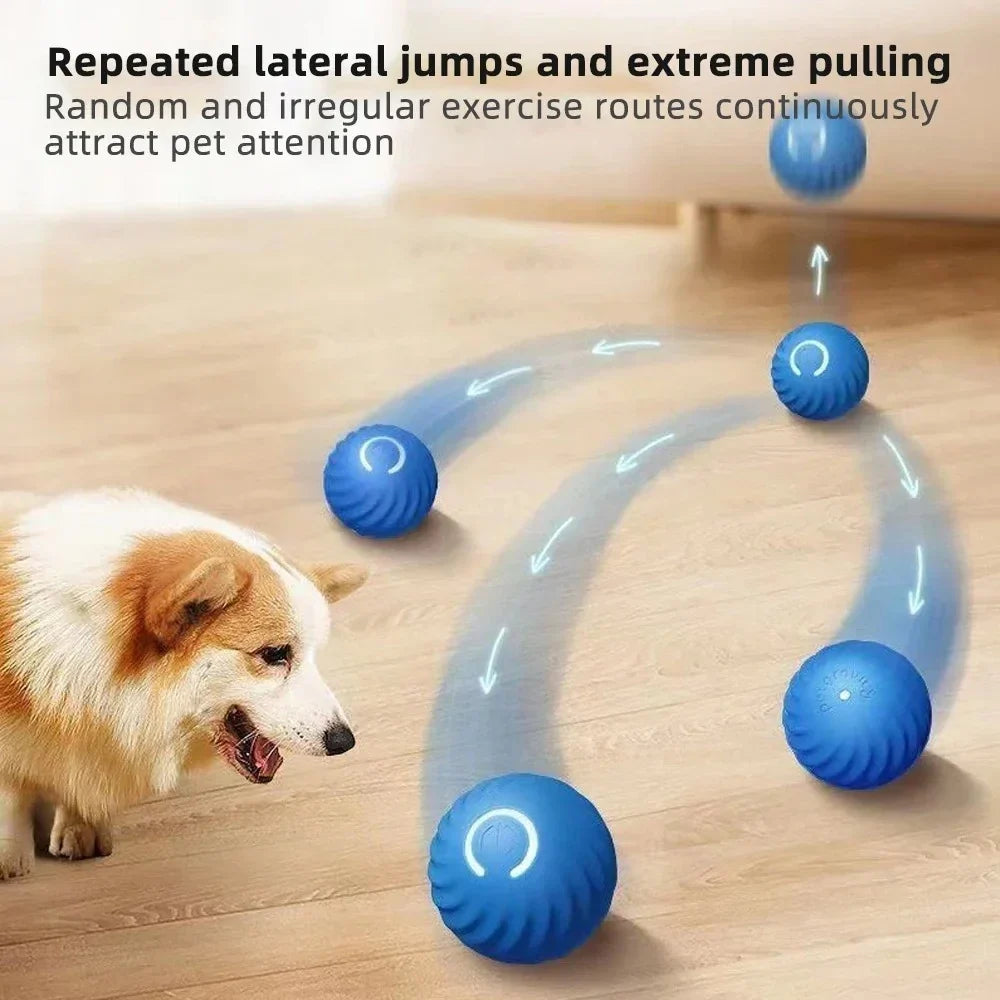 Active Rolling Ball Anti-Anxiety Automatic Moving Ball - Orthorun