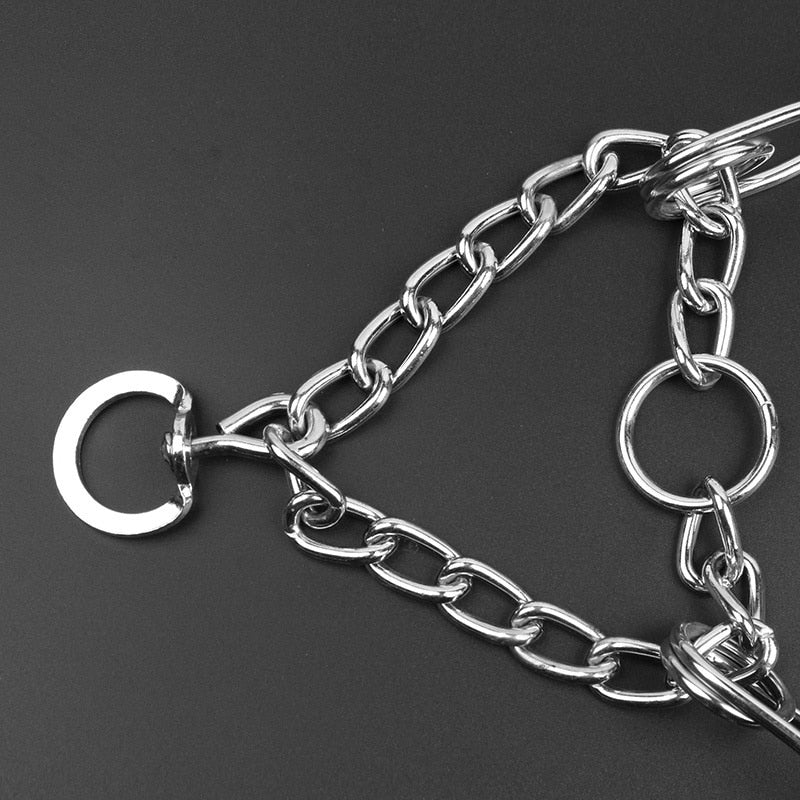 Orthorun | Dog Pincher Collar – Stylish & Training-Ready