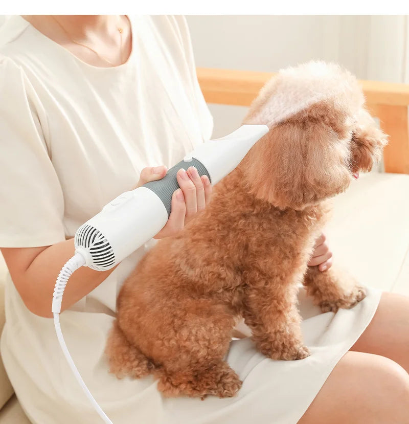 3-in-1 Dog Hair Dryer and Grooming Brush - Orthorun