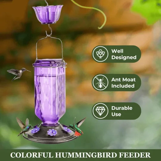 24oz Leak Proof Glass Hummingbird Feeder - Orthorun