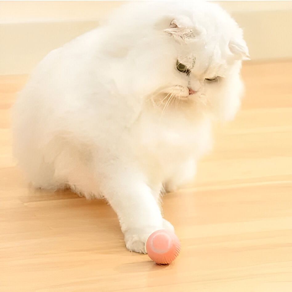 2 in 1 Simulated Interactive Hunting Cat Toy - Orthorun