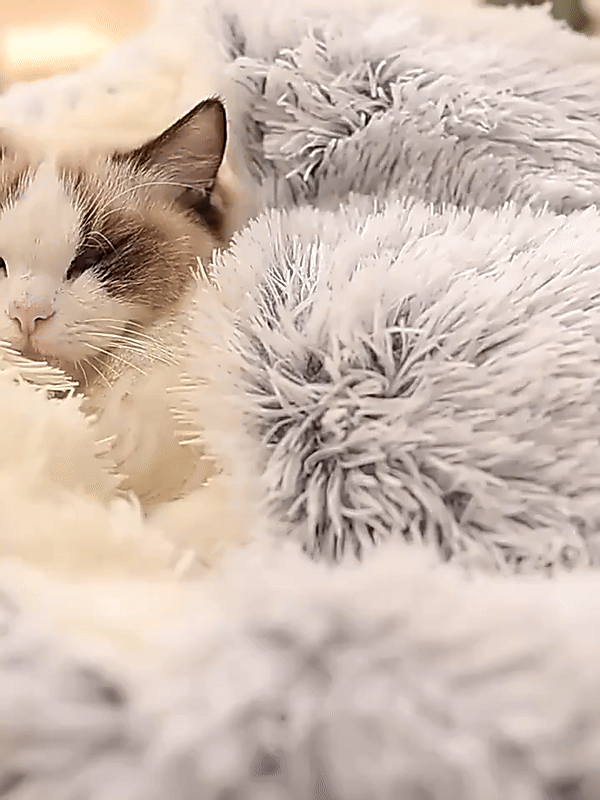 Orthorun | Cozy Cave Pet Bed – Calming & Comfortable Dog Bed for Deep Relaxation