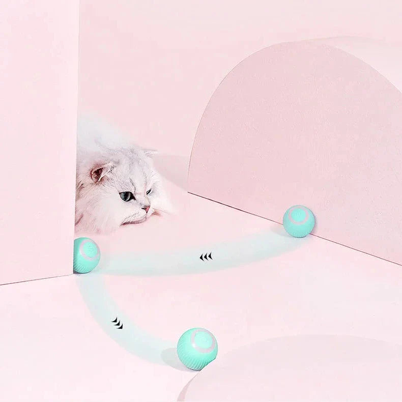 2 in 1 Simulated Interactive Hunting Cat Toy - Orthorun