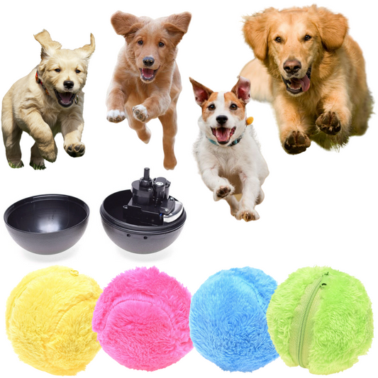 Active Rolling Ball (4 Colors Included) - Orthorun