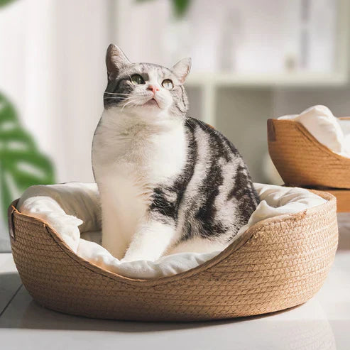 Orthorun | Bamboo Bed