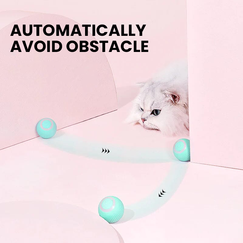 2 in 1 Simulated Interactive Hunting Cat Toy - Orthorun