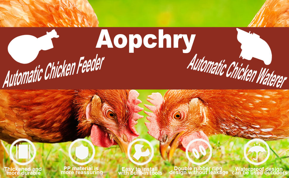 10 Pcs Chicken Waterer - Orthorun