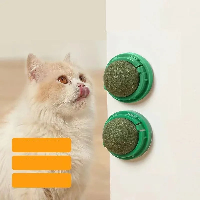 4 Pcs Premium Catnip Ball - Orthorun