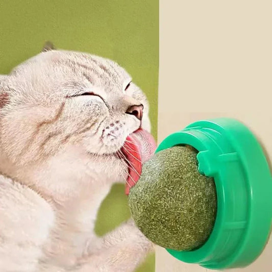4 Pcs Premium Catnip Ball - Orthorun