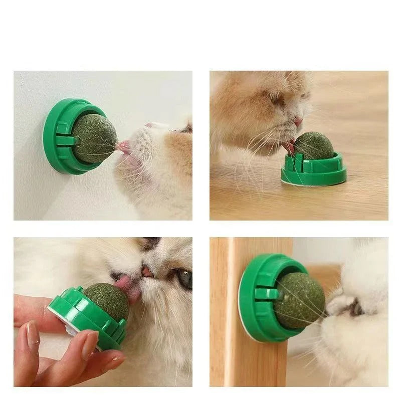 4 Pcs Premium Catnip Ball - Orthorun
