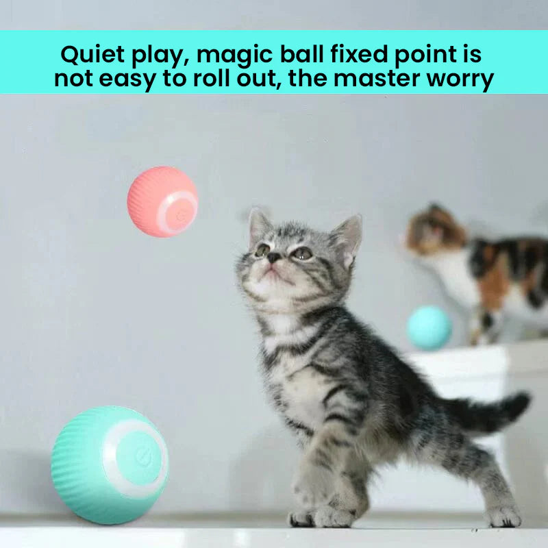 2 in 1 Simulated Interactive Hunting Cat Toy - Orthorun