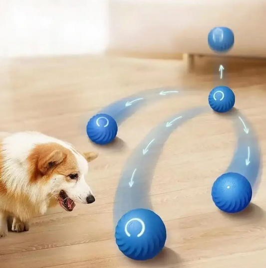 Active Rolling Ball Anti-Anxiety Automatic Moving Ball - Orthorun