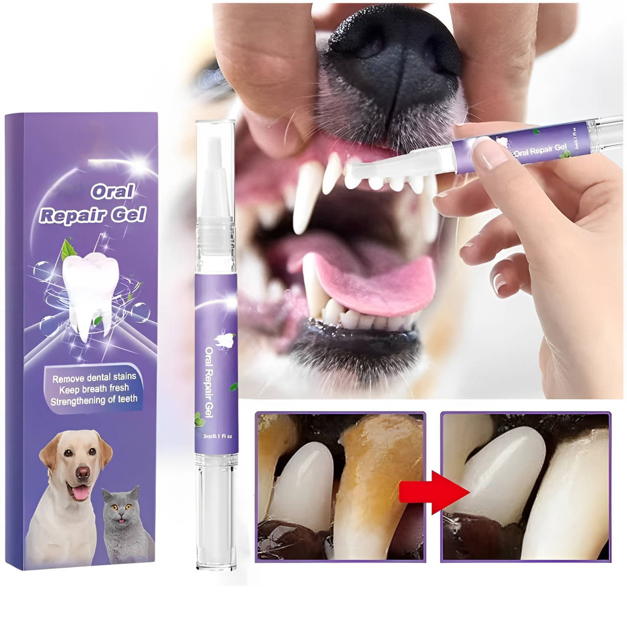 3 Set Dog Oral Repair Gel - Orthorun