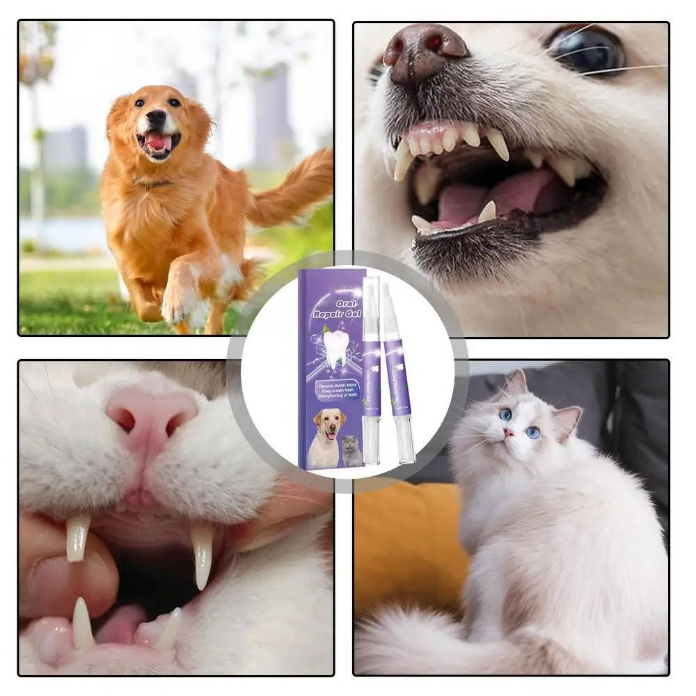 3 Set Dog Oral Repair Gel - Orthorun